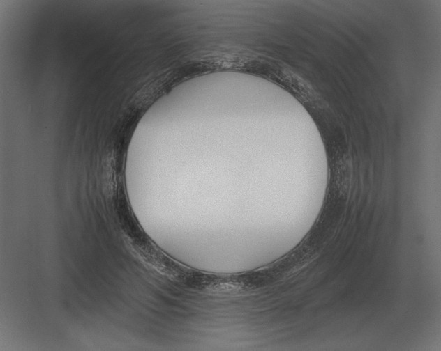 X0000082150594200702092153