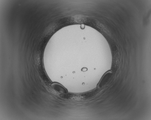 X0000082150595200702092153