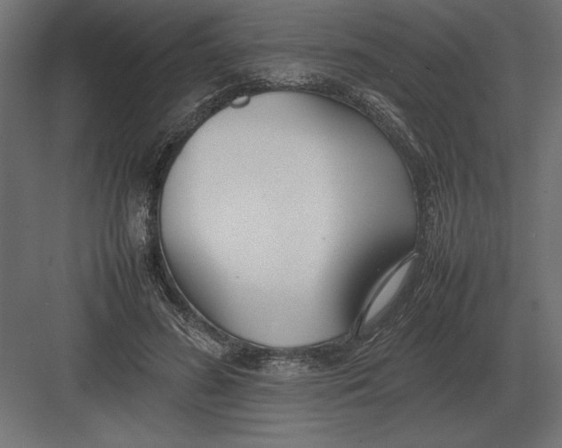 X0000082150596200702092153