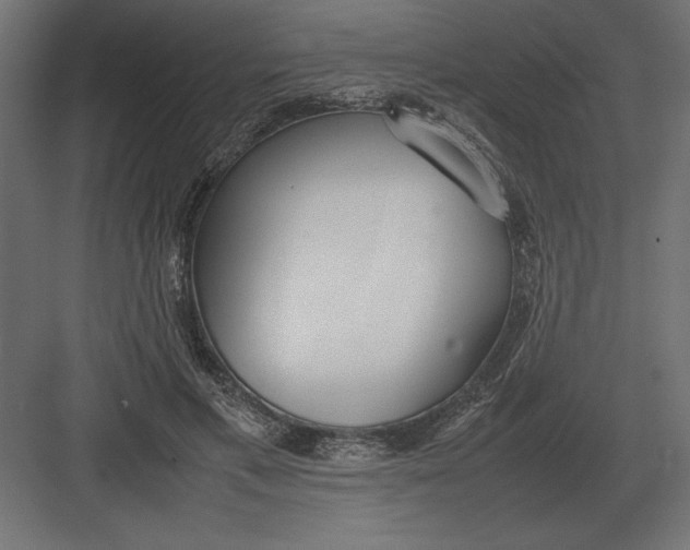 X0000082150597200702092153