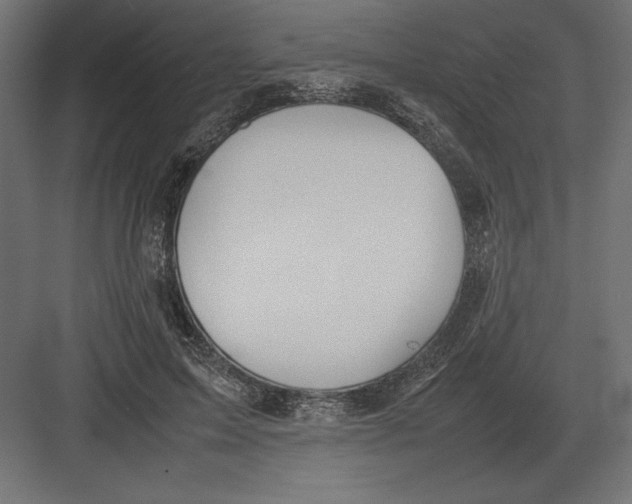 X0000082150599200702092153