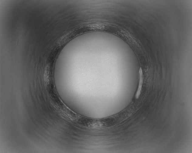 X0000082150600200702092153