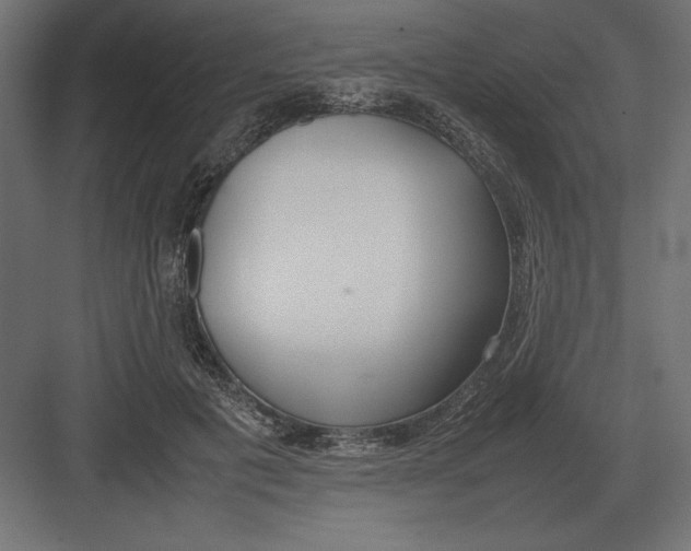 X0000082150601200702092153