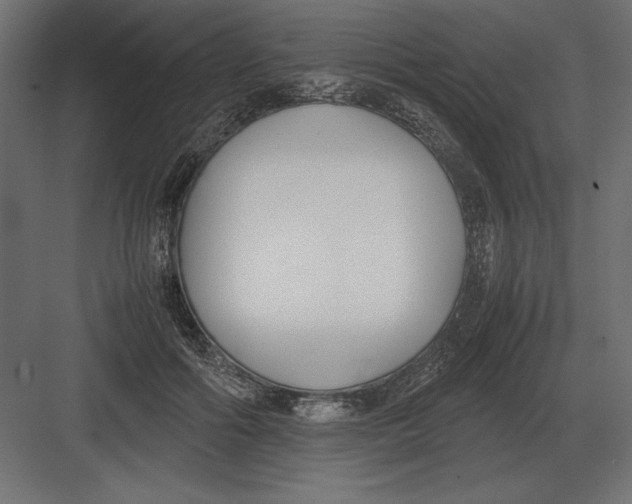 X0000082150602200702092153