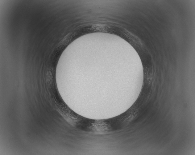 X0000082150603200702092153