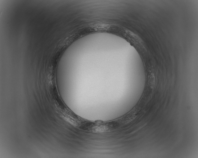 X0000082150604200702092153