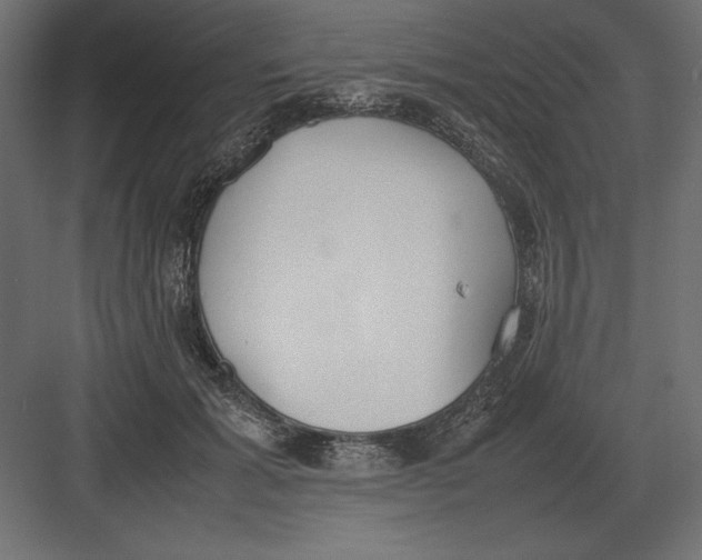 X0000082150605200702092153