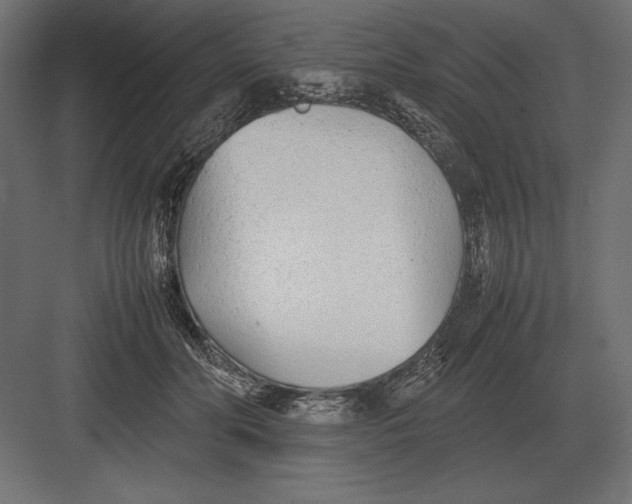 X0000082150606200702092153