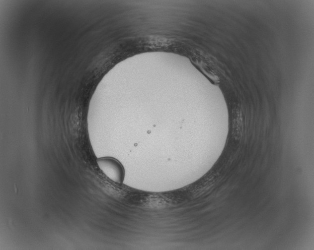 X0000082150608200702092153