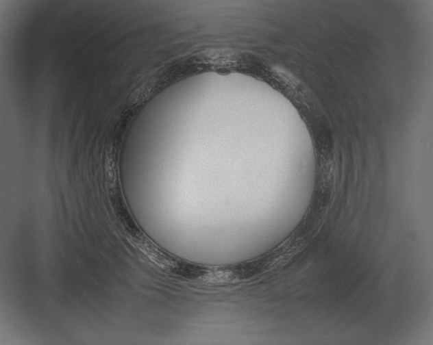 X0000082150609200702092153