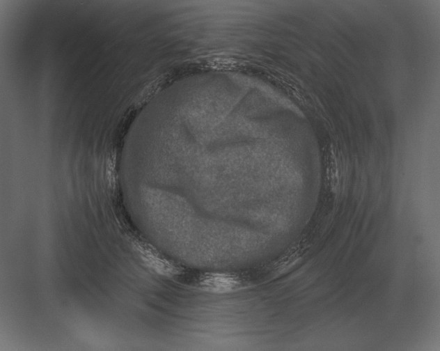 X0000082150610200702092153