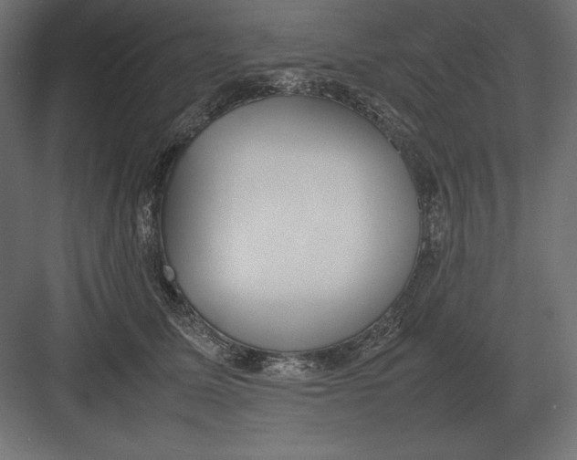 X0000082150611200702092153