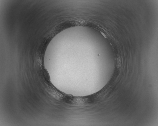 X0000082150613200702092153