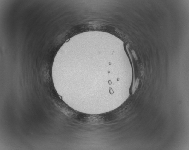 X0000082150615200702092153