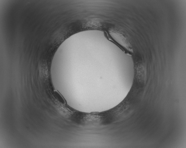 X0000082150617200702092153