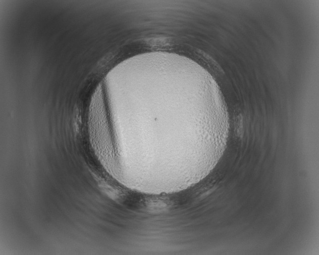 X0000082150618200702092153