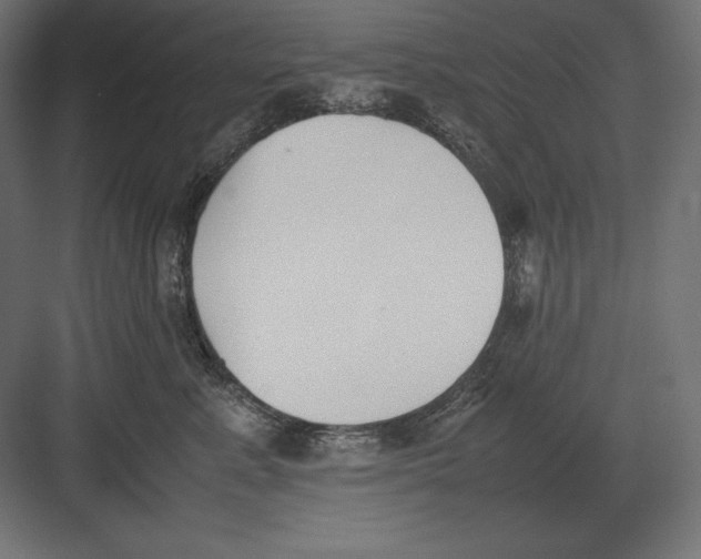 X0000082150619200702092153