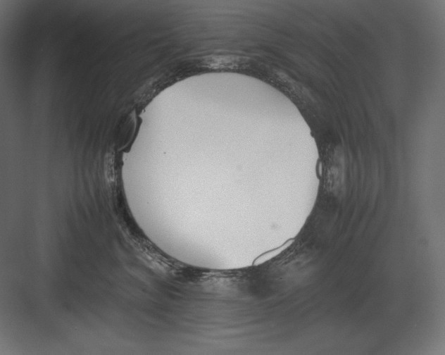 X0000082150620200702092153