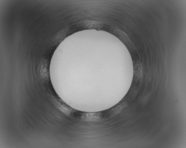 X0000082150622200702092152