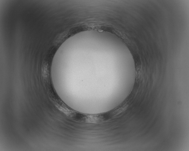 X0000082150623200702092152