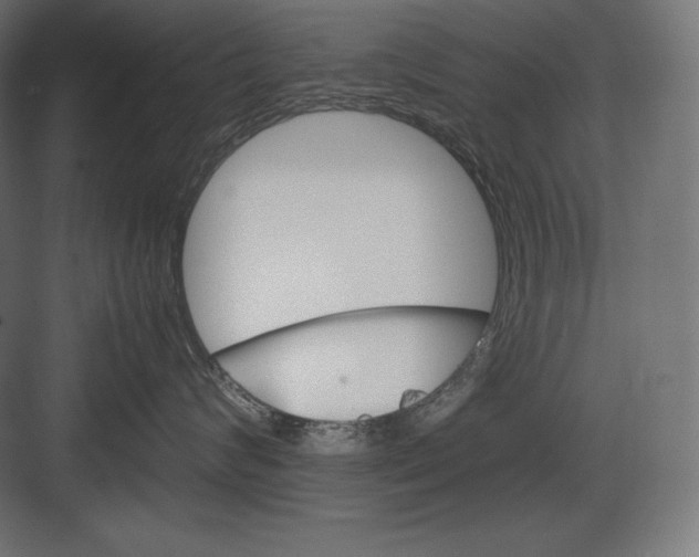 X0000082150624200702092152