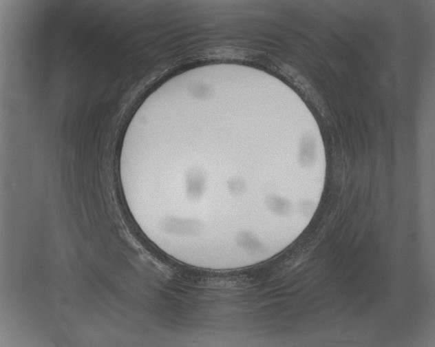 X0000082150625200702092152