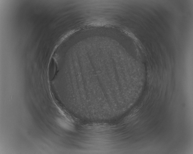 X0000082150626200702092152