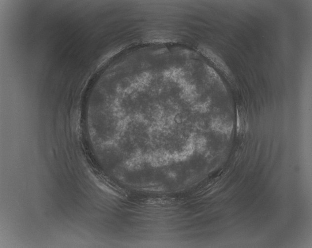 X0000082150627200702092152