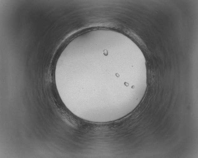 X0000082150628200702092152