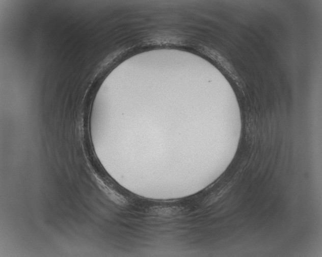 X0000082150629200702092152