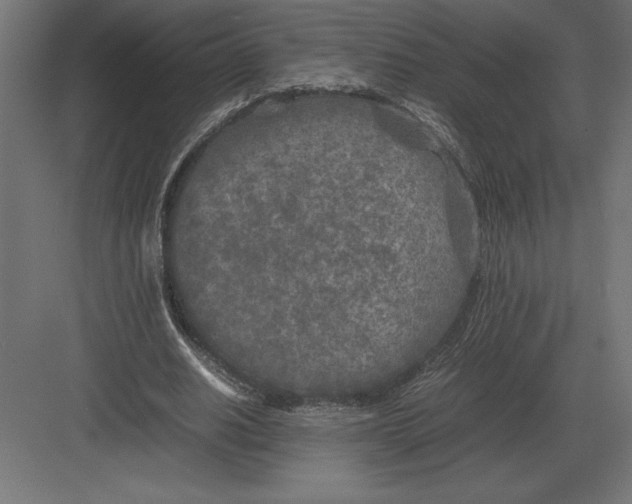 X0000082150630200702092152