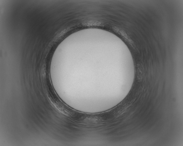 X0000082150631200702092152