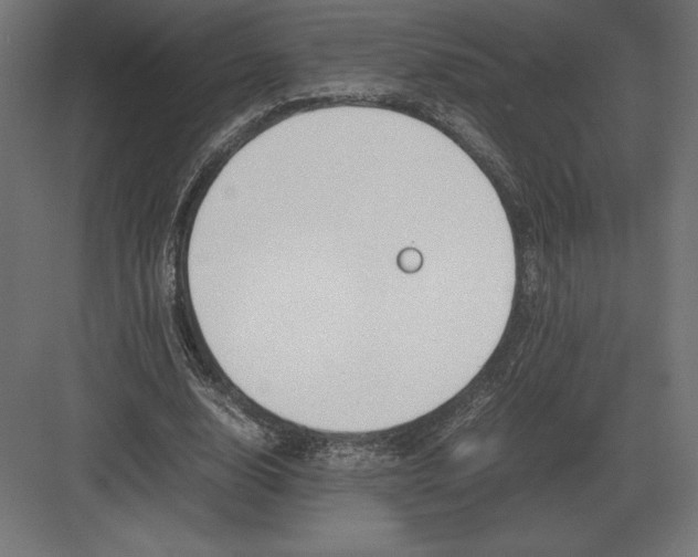 X0000082150632200702092152