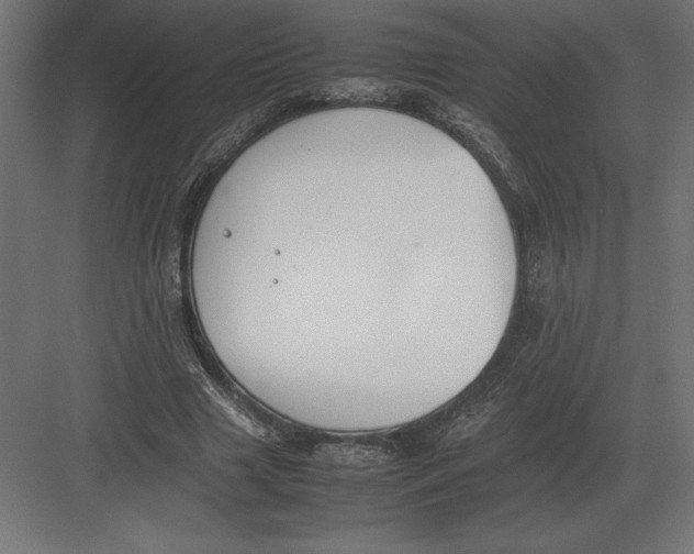 X0000082150633200702092152