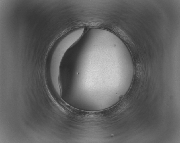 X0000082150634200702092152