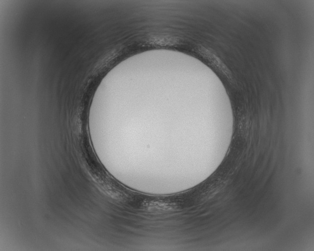 X0000082150635200702092152