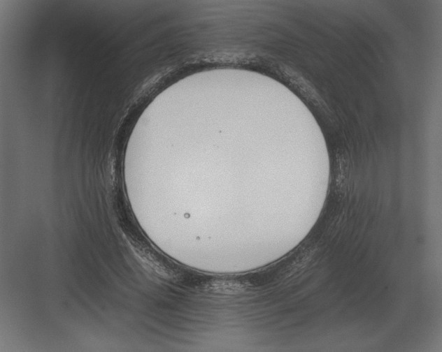 X0000082150636200702092152