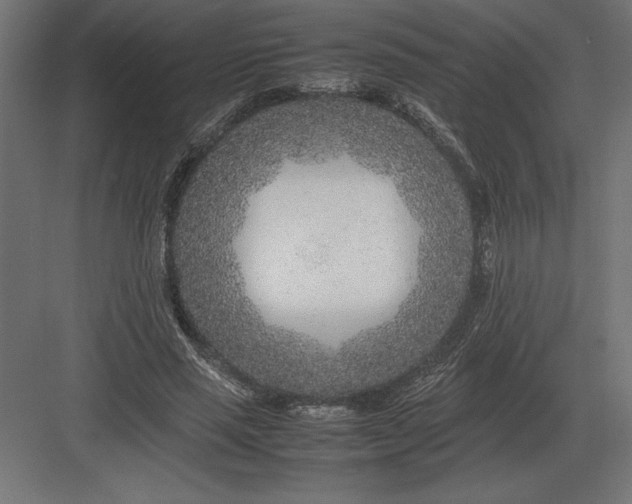 X0000082150637200702092152