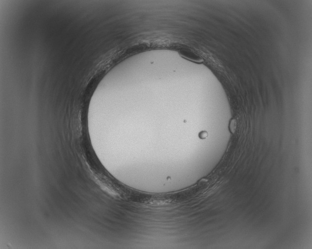 X0000082150638200702092152