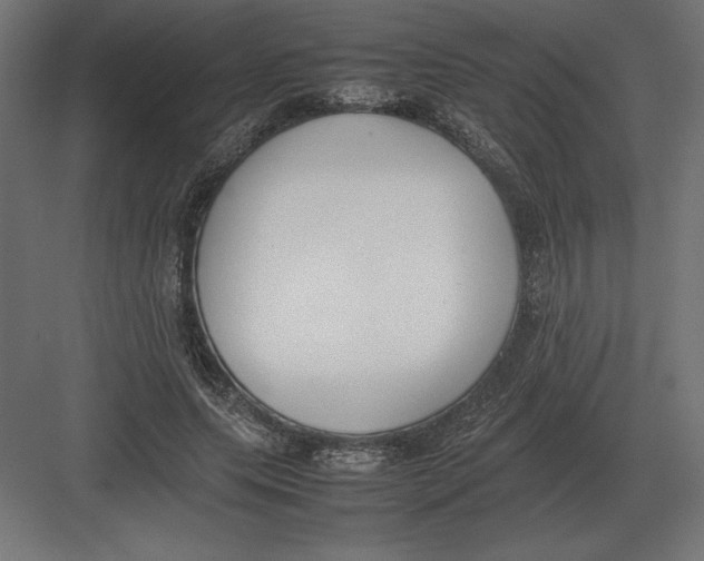 X0000082150639200702092152