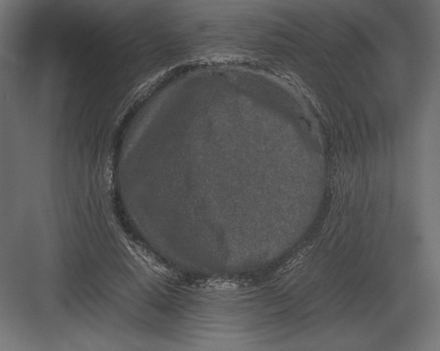 X0000082150640200702092152