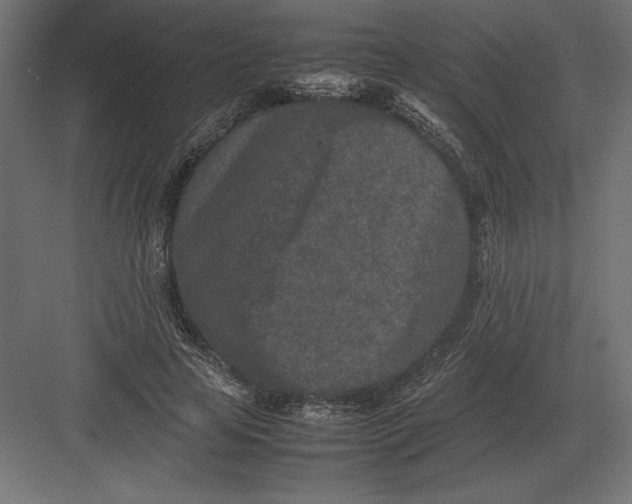 X0000082150641200702092152