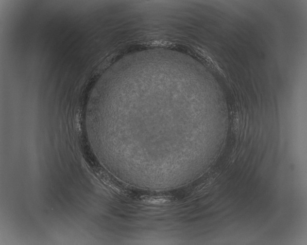 X0000082150643200702092152