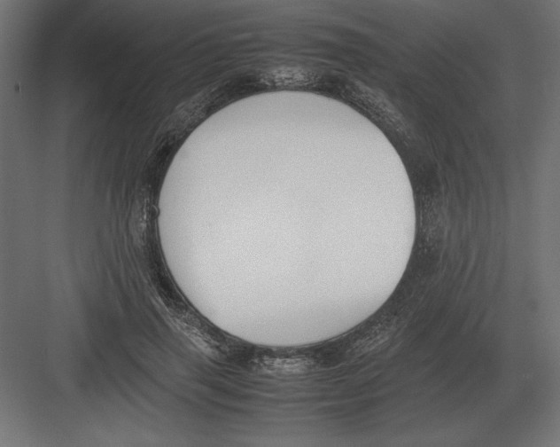 X0000082150645200702092152