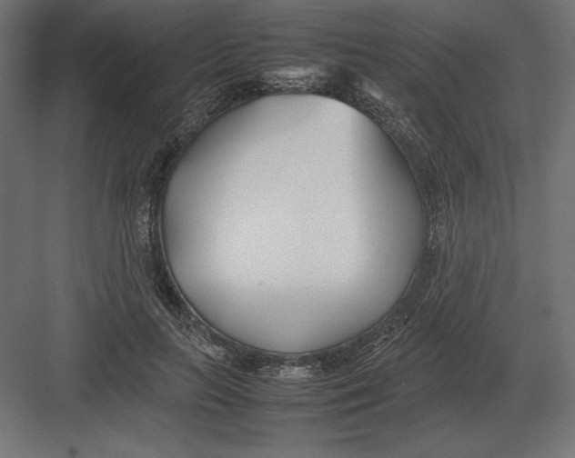 X0000082150647200702092152