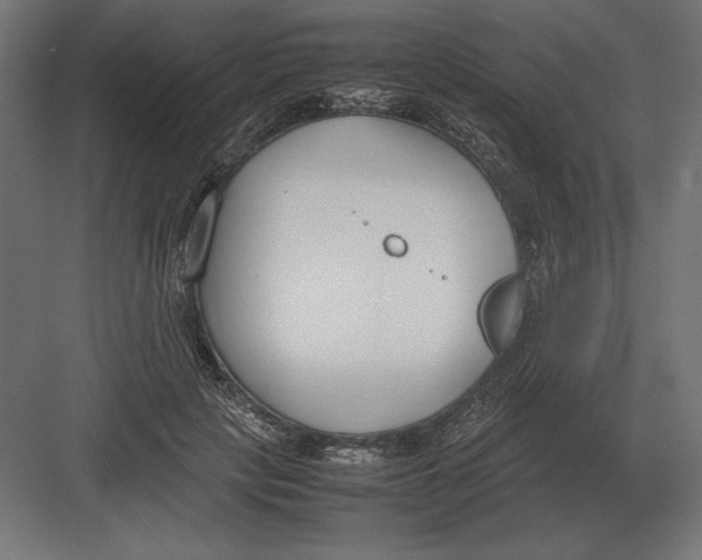 X0000082150649200702092152