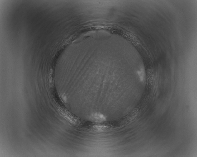 X0000082150650200702092152