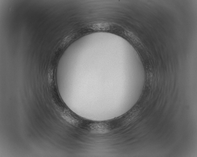 X0000082150652200702092152