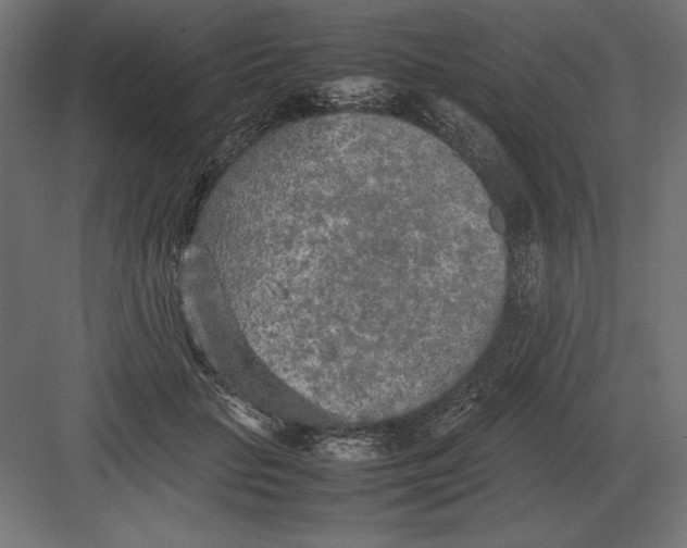 X0000082150653200702092152