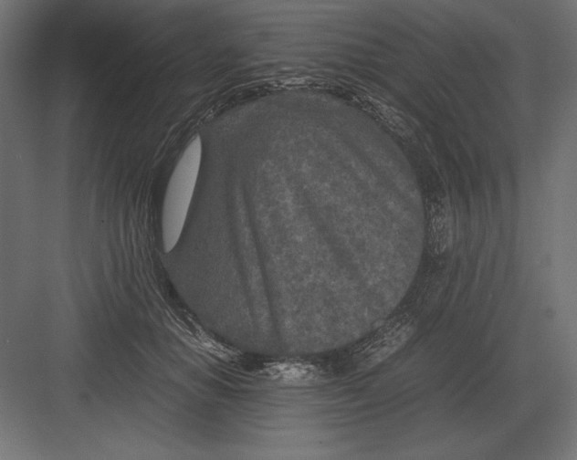 X0000082150654200702092152